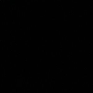 Meet your Posher, Jamarious